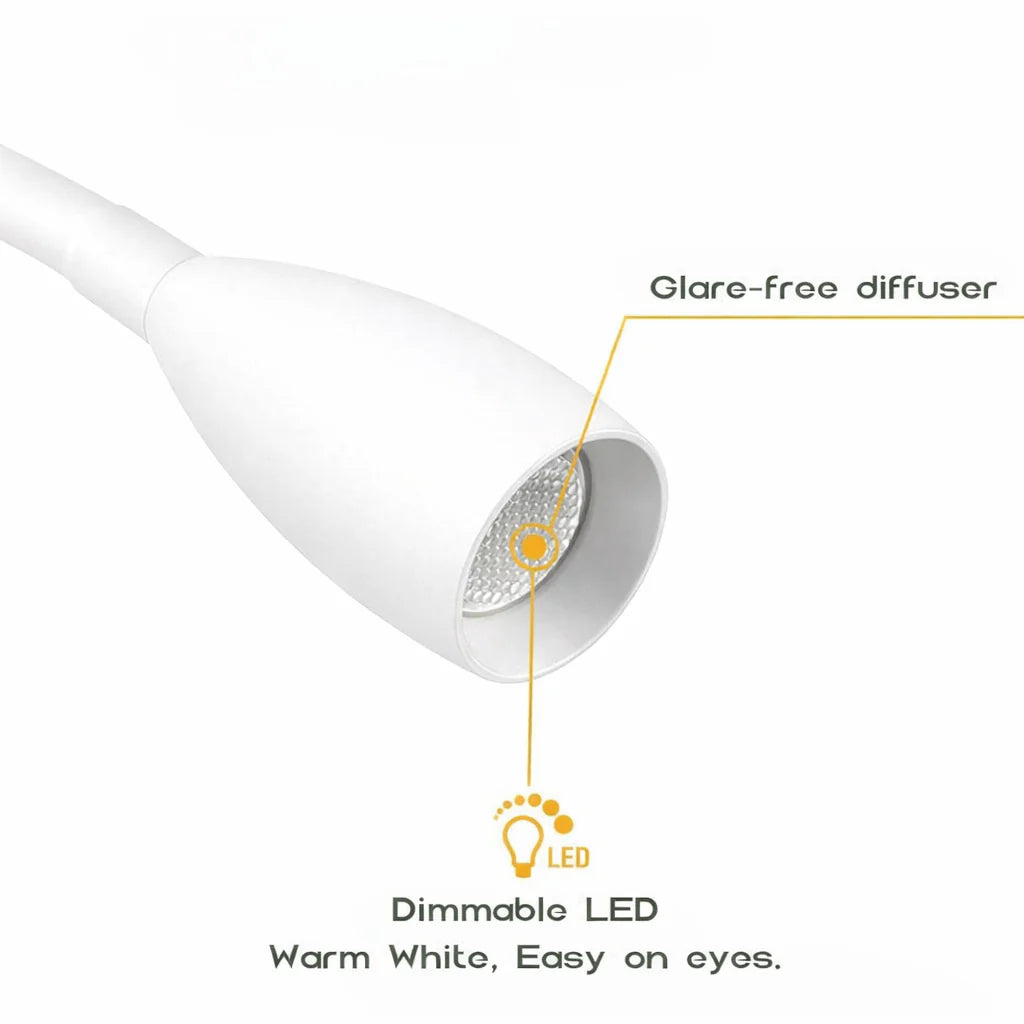 Pair of White Max Reading Lights with USB C and Dimming