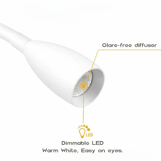 Pair of White Max Reading Lights with USB C and Dimming